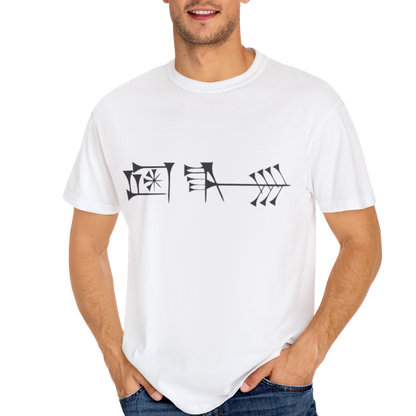 Ancient Cuneiform “Liberty” Unisex Garment-Dyed T-Shirt -TAN102